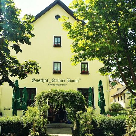 Hotel-Landgasthof Gruener Baum - Dittigheim Tauberbischofsheim Zewnętrze zdjęcie