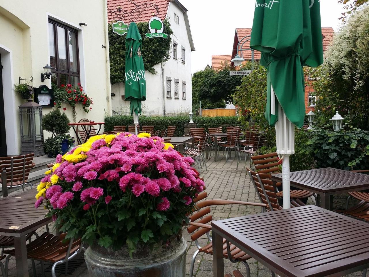 Hotel-Landgasthof Gruener Baum - Dittigheim Tauberbischofsheim Zewnętrze zdjęcie