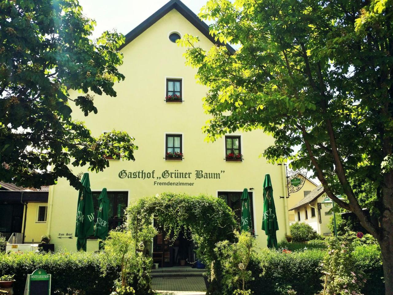 Hotel-Landgasthof Gruener Baum - Dittigheim Tauberbischofsheim Zewnętrze zdjęcie
